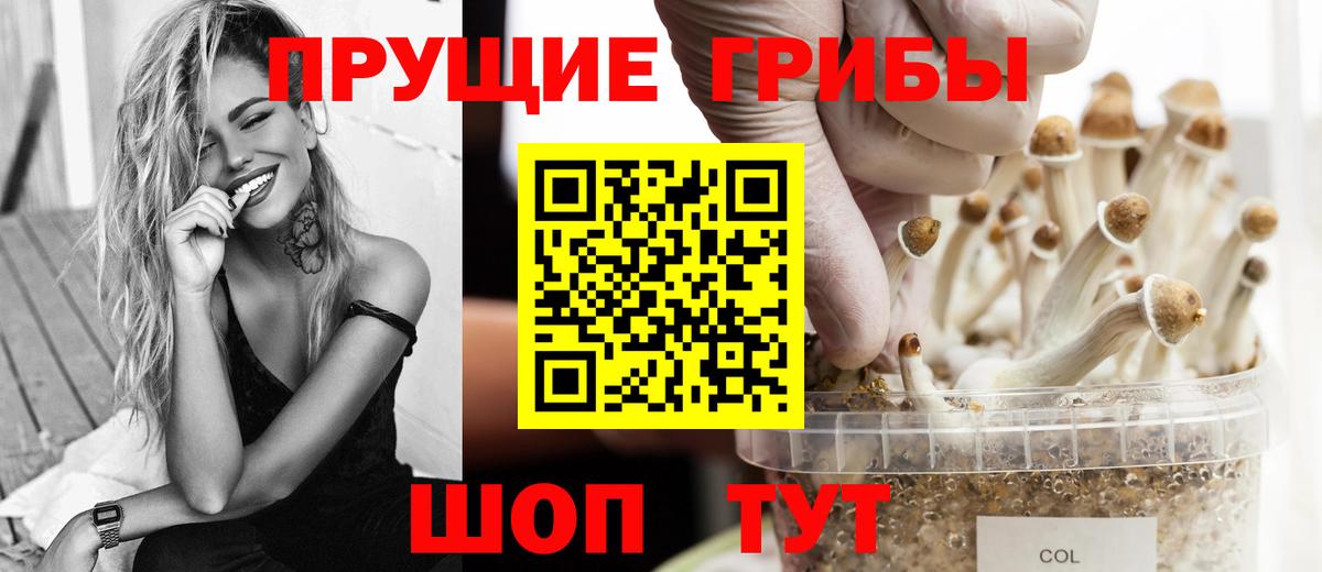 Усть-Илимск  Псилоцибиновые грибы мухоморы  Вход с VPN 